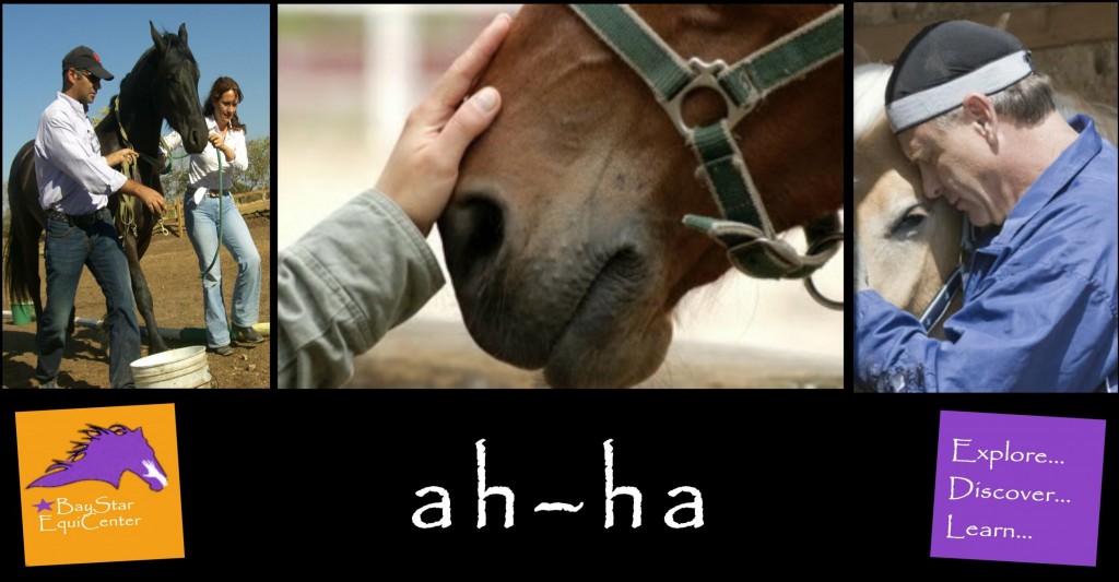 ah ha tri