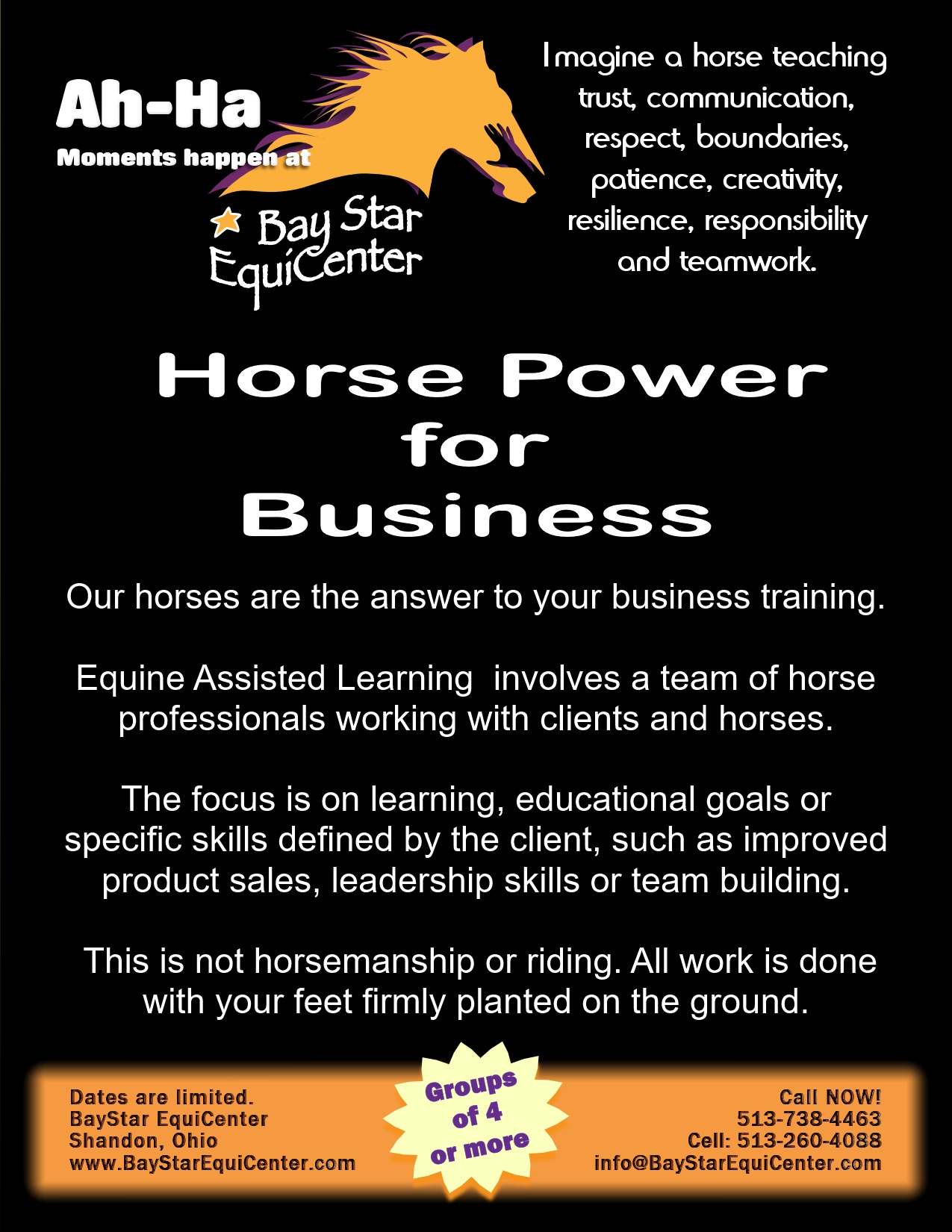 Horse Power for Business